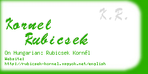 kornel rubicsek business card